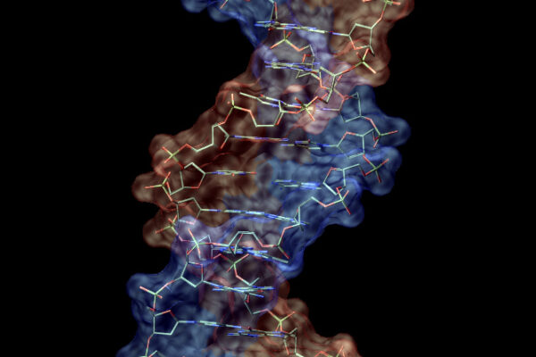 DNA Image