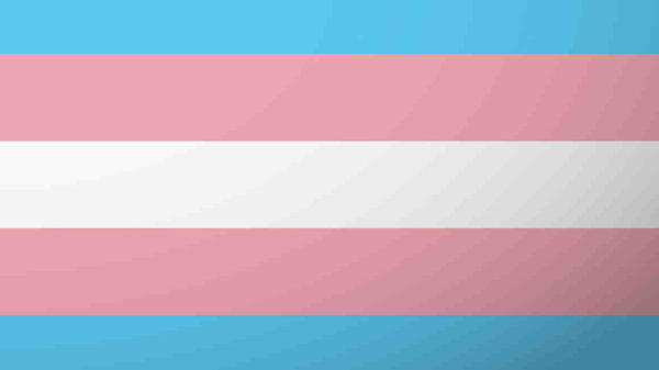 Transgender Flag