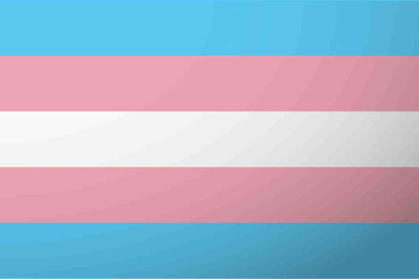 Transgender Flag