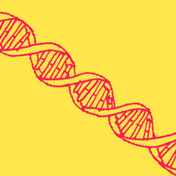 DNA Website Newsletter.jpg