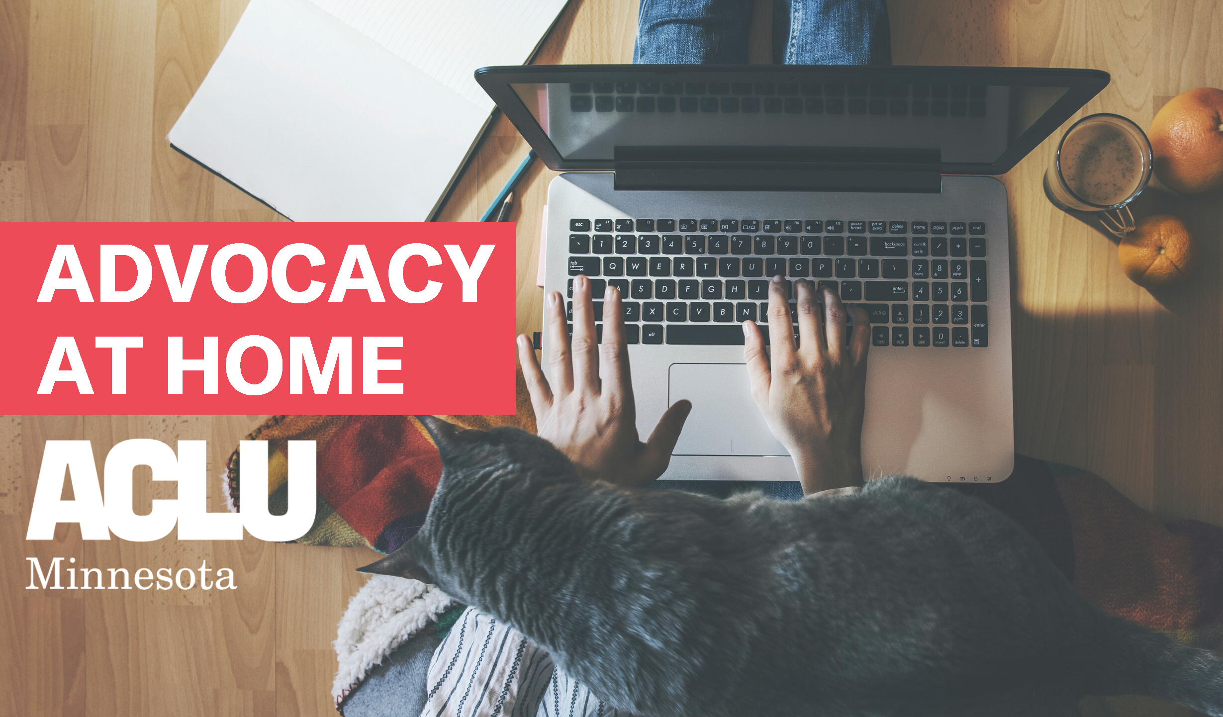 Overhead image of a cat walking over a laptop while someone attempts to type. Red text box reads: Advocacy at home.