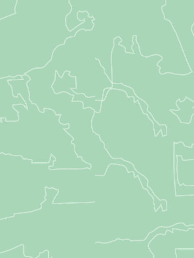 An outline of various states in the United States, against a light green background.