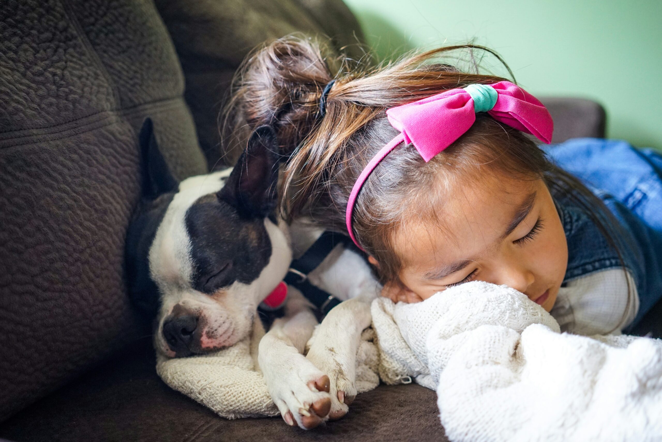 Photo of a child wearing a pink bow asleep on a brown couch next to a small, black and white dog.