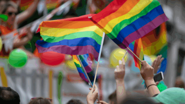 Photo of Pride flags being waved above people's heads