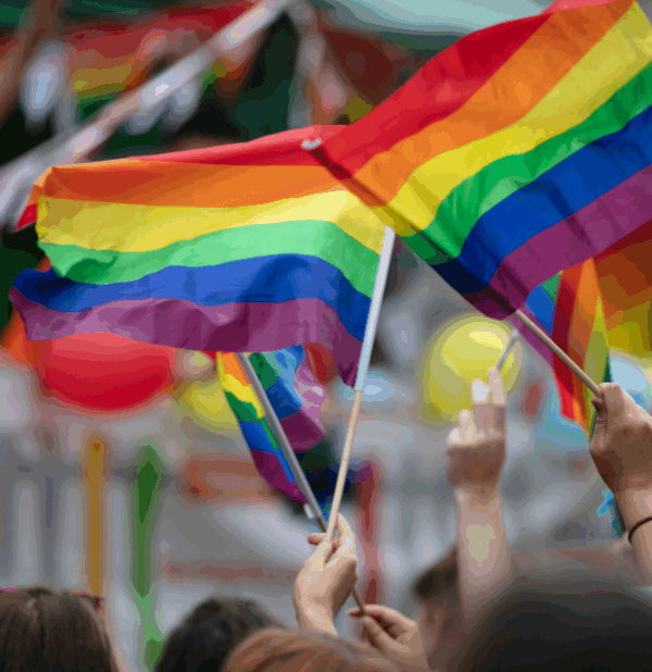 Photo of Pride flags being waved above people's heads