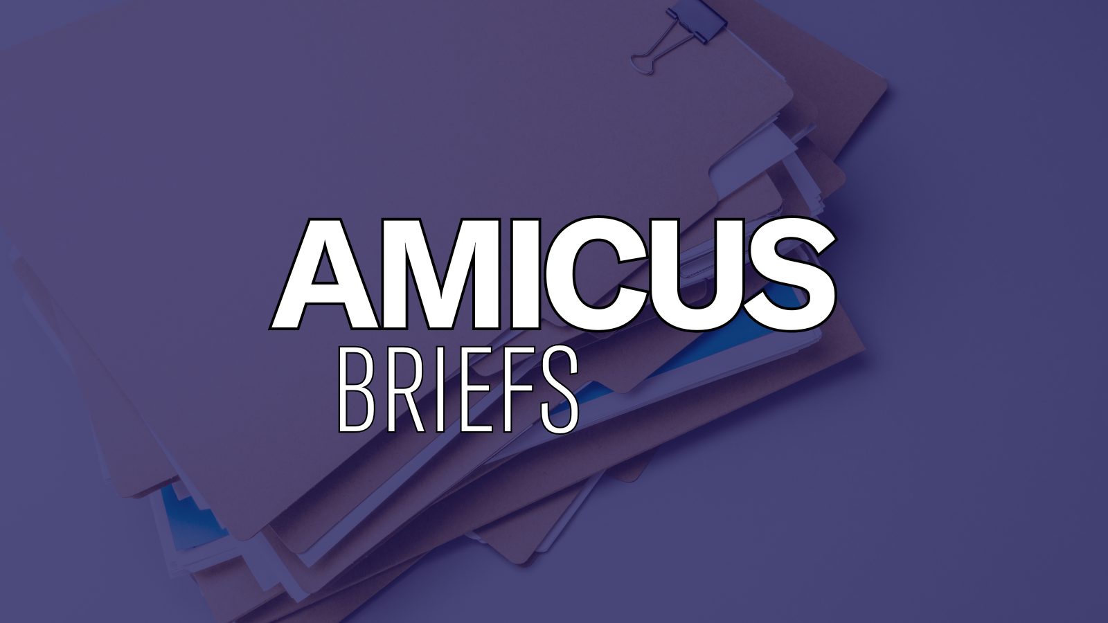 White text over a photo of a pile of files. The text says, "amicus briefs."