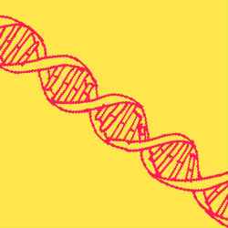 DNA Website Newsletter.jpg