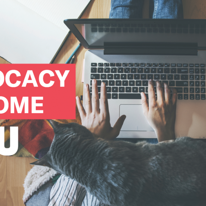 Stay active in the fight -- from your couch Advocacy at home