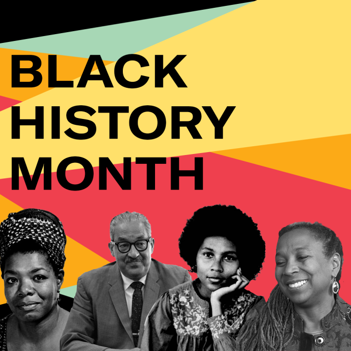 Black, bold text on top of color blocked background (red, green, yellow, and orange) with black and white images of Kimberlé Crenshaw, bell hooks, Thurgood Marshall, and Maya Angelou in the lower third of the graphic. 