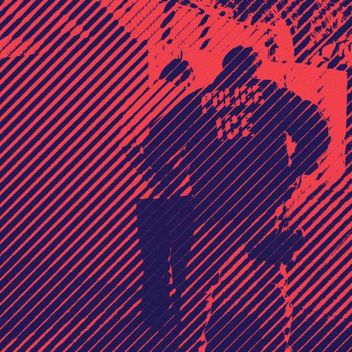 ICE DETAINS SOMEONE