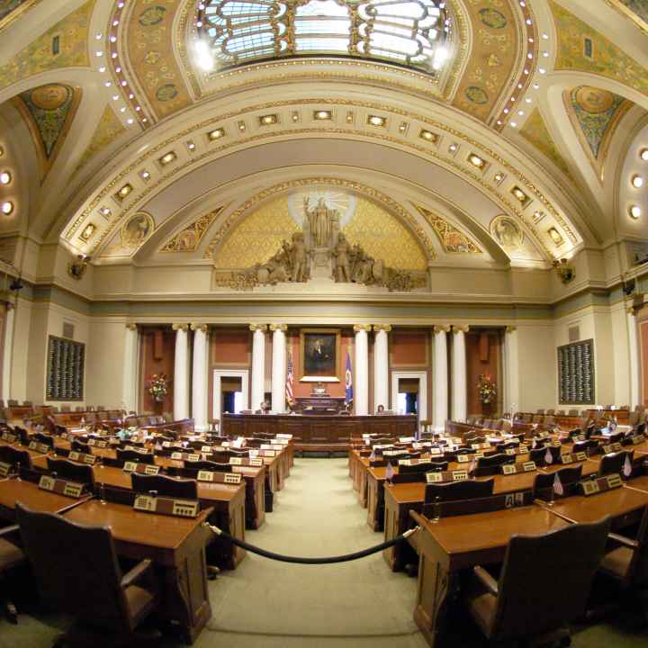 MN House of Rep